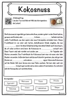 Vorschau - Unterrichtsreihen - Kokosnuss Lückentext mit Wortspeicher Hörverstehen und Suchsel - Seite 1