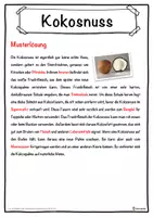 Vorschau - Unterrichtsreihen - Kokosnuss Lückentext mit Wortspeicher Hörverstehen und Suchsel - Seite 2