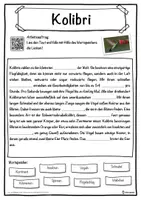 Vorschau - Unterrichtsreihen - Kolibri Lückentext mit Wortspeicher Hörverstehen und Suchsel - Seite 1