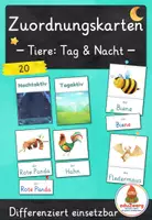 Vorschau - Spiele - Nachtaktive Tiere – Zuordnungskarten Tag & Nacht | 20 Tiere | differenziert Kita bis Klasse 2 | DaZ - Deckblatt