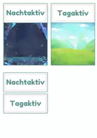 Vorschau - Spiele - Nachtaktive Tiere – Zuordnungskarten Tag & Nacht | 20 Tiere | differenziert Kita bis Klasse 2 | DaZ - Seite 1