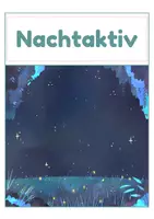 Vorschau - Spiele - Nachtaktive Tiere – Zuordnungskarten Tag & Nacht | 20 Tiere | differenziert Kita bis Klasse 2 | DaZ - Seite 2