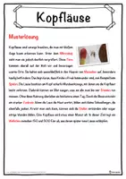 Vorschau - Unterrichtsreihen - Kopfläuse Lückentext mit Wortspeicher Hörverstehen und Suchsel - Seite 2