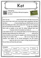 Vorschau - Unterrichtsreihen - Kot Lückentext mit Wortspeicher Hörverstehen und Suchsel - Seite 1