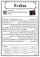 Vorschau - Unterrichtsreihen - Krebse Lückentext mit Wortspeicher Hörverstehen und Suchsel - Seite 1