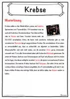 Vorschau - Unterrichtsreihen - Krebse Lückentext mit Wortspeicher Hörverstehen und Suchsel - Seite 2