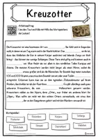 Vorschau - Unterrichtsreihen - Kreuzotter Lückentext mit Wortspeicher Hörverstehen und Suchsel - Seite 1