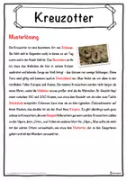 Vorschau - Unterrichtsreihen - Kreuzotter Lückentext mit Wortspeicher Hörverstehen und Suchsel - Seite 2