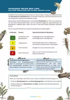Vorschau - Unterrichtsreihen - Gewässer unter der Lupe - Bioindikatoren in Fluss und Bach - Seite 1