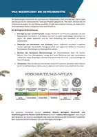 Vorschau - Unterrichtsreihen - Gewässer unter der Lupe - Bioindikatoren in Fluss und Bach - Seite 2