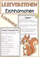 Vorschau - Arbeitsblätter - Eichhörnchen, Lesen und Verstehen Arbeitsblätter mit Lesetext, Fragen - Deckblatt