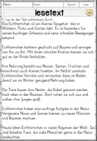 Vorschau - Arbeitsblätter - Eichhörnchen, Lesen und Verstehen Arbeitsblätter mit Lesetext, Fragen - Seite 2