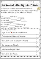 Vorschau - Arbeitsblätter - Eichhörnchen, Lesen und Verstehen Arbeitsblätter mit Lesetext, Fragen - Seite 3