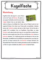Vorschau - Unterrichtsreihen - Kugelfische Lückentext mit Wortspeicher Hörverstehen und Suchsel - Seite 2