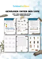 Vorschau - Unterrichtsreihen - Gewässer unter der Lupe - Bioindikatoren in Fluss und Bach - Deckblatt