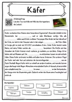 Vorschau - Unterrichtsreihen - Käfer Lückentext mit Wortspeicher Hörverstehen und Suchsel - Seite 1