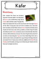 Vorschau - Unterrichtsreihen - Käfer Lückentext mit Wortspeicher Hörverstehen und Suchsel - Seite 2