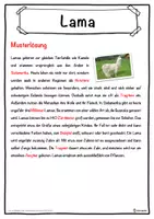 Vorschau - Unterrichtsreihen - Lama Lückentext mit Wortspeicher Hörverstehen und Suchsel - Seite 2