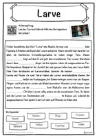 Vorschau - Unterrichtsreihen - Larve Lückentext mit Wortspeicher Hörverstehen und Suchsel - Seite 1