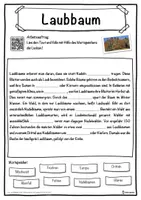Vorschau - Unterrichtsreihen - Laubbaum Lückentext mit Wortspeicher Hörverstehen und Suchsel - Seite 1