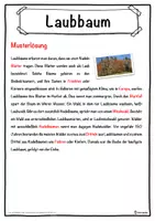 Vorschau - Unterrichtsreihen - Laubbaum Lückentext mit Wortspeicher Hörverstehen und Suchsel - Seite 2