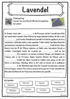 Vorschau - Unterrichtsreihen - Lavendel Lückentext mit Wortspeicher Hörverstehen und Suchsel - Seite 1