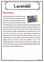 Vorschau - Unterrichtsreihen - Lavendel Lückentext mit Wortspeicher Hörverstehen und Suchsel - Seite 2