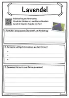 Vorschau - Unterrichtsreihen - Lavendel Lückentext mit Wortspeicher Hörverstehen und Suchsel - Seite 3