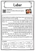 Vorschau - Unterrichtsreihen - Leber Lückentext mit Wortspeicher Hörverstehen und Suchsel - Seite 1