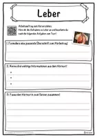 Vorschau - Unterrichtsreihen - Leber Lückentext mit Wortspeicher Hörverstehen und Suchsel - Seite 3