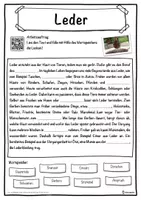 Vorschau - Unterrichtsreihen - Leder Lückentext mit Wortspeicher Hörverstehen und Suchsel - Seite 1