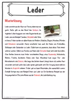 Vorschau - Unterrichtsreihen - Leder Lückentext mit Wortspeicher Hörverstehen und Suchsel - Seite 2