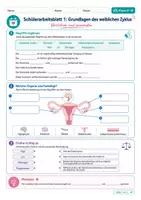 Vorschau - Arbeitsblätter - Wanyvo´s Lernspuren Hormone und weiblicher Zyklus - Seite 2