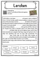 Vorschau - Unterrichtsreihen - Lerchen Lückentext mit Wortspeicher Hörverstehen und Suchsel - Seite 1