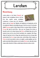 Vorschau - Unterrichtsreihen - Lerchen Lückentext mit Wortspeicher Hörverstehen und Suchsel - Seite 2