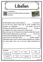 Vorschau - Unterrichtsreihen - Libellen Lückentext mit Wortspeicher Hörverstehen und Suchsel - Seite 1