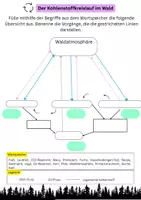 Vorschau - Arbeitsblätter - Kohlenstoffkreislauf Wald (dreifach differenziert) - Deckblatt