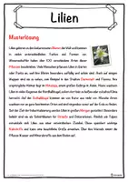 Vorschau - Unterrichtsreihen - Lilien Lückentext mit Wortspeicher Hörverstehen und Suchsel - Seite 2
