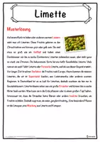 Vorschau - Unterrichtsreihen - Limette Lückentext mit Wortspeicher Hörverstehen und Suchsel - Seite 2