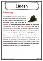 Vorschau - Unterrichtsreihen - Linden Lückentext mit Wortspeicher Hörverstehen und Suchsel - Seite 2