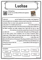 Vorschau - Unterrichtsreihen - Luchse Lückentext mit Wortspeicher Hörverstehen und Suchsel - Seite 1