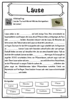 Vorschau - Unterrichtsreihen - Läuse Lückentext mit Wortspeicher Hörverstehen und Suchsel - Seite 1