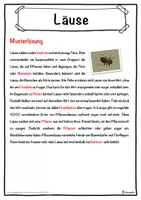 Vorschau - Unterrichtsreihen - Läuse Lückentext mit Wortspeicher Hörverstehen und Suchsel - Seite 2