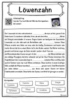 Vorschau - Unterrichtsreihen - Löwenzahn Lückentext mit Wortspeicher Hörverstehen und Suchsel - Seite 1