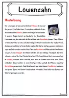 Vorschau - Unterrichtsreihen - Löwenzahn Lückentext mit Wortspeicher Hörverstehen und Suchsel - Seite 2