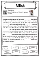 Vorschau - Unterrichtsreihen - Milch Lückentext mit Wortspeicher Hörverstehen und Suchsel - Seite 1