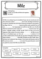 Vorschau - Unterrichtsreihen - Milz Lückentext mit Wortspeicher Hörverstehen und Suchsel - Seite 1