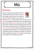Vorschau - Unterrichtsreihen - Milz Lückentext mit Wortspeicher Hörverstehen und Suchsel - Seite 2