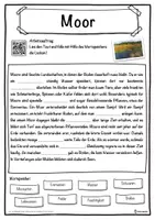 Vorschau - Unterrichtsreihen - Moor Lückentext mit Wortspeicher Hörverstehen und Suchsel - Seite 1