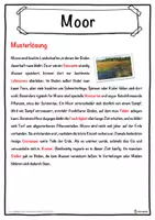 Vorschau - Unterrichtsreihen - Moor Lückentext mit Wortspeicher Hörverstehen und Suchsel - Seite 2